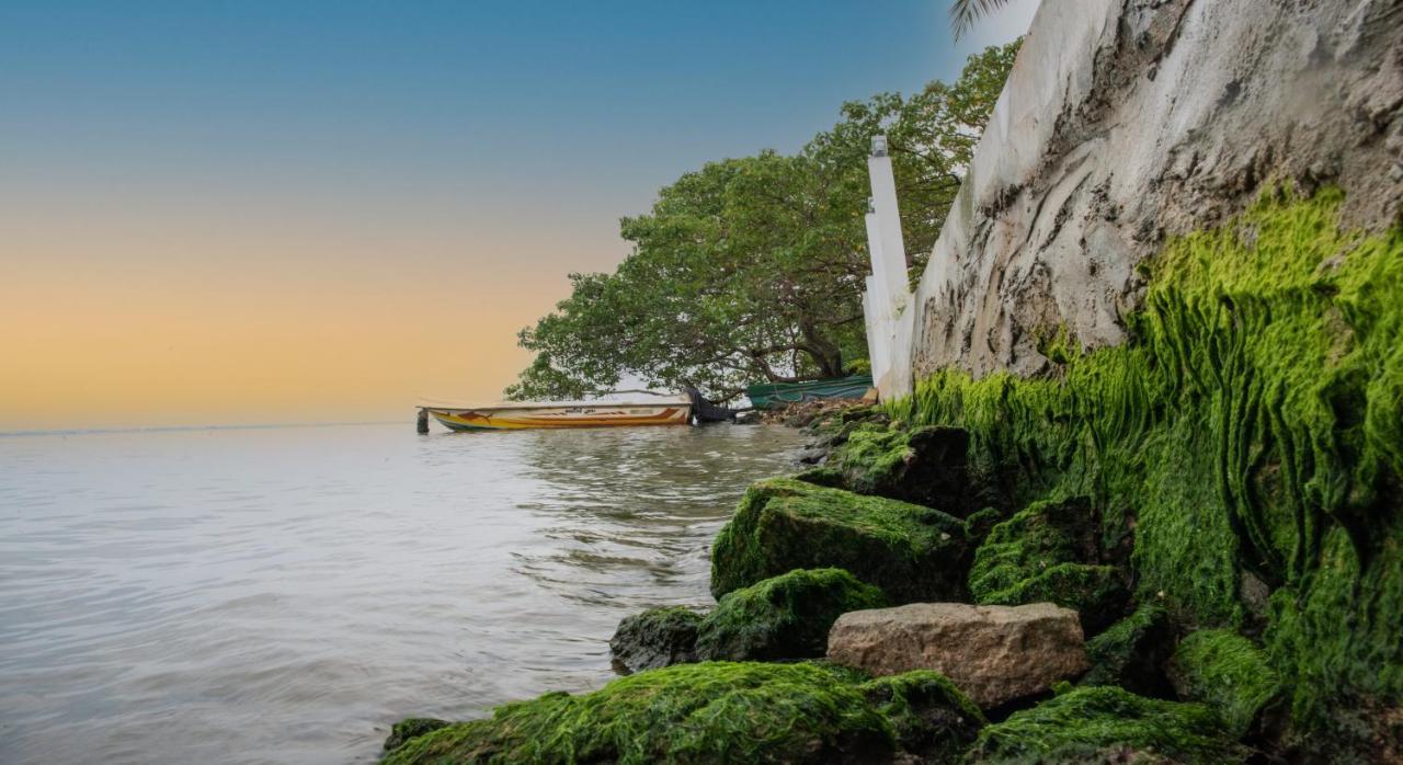 Hiru Lagoon Negombo Bagian luar foto
